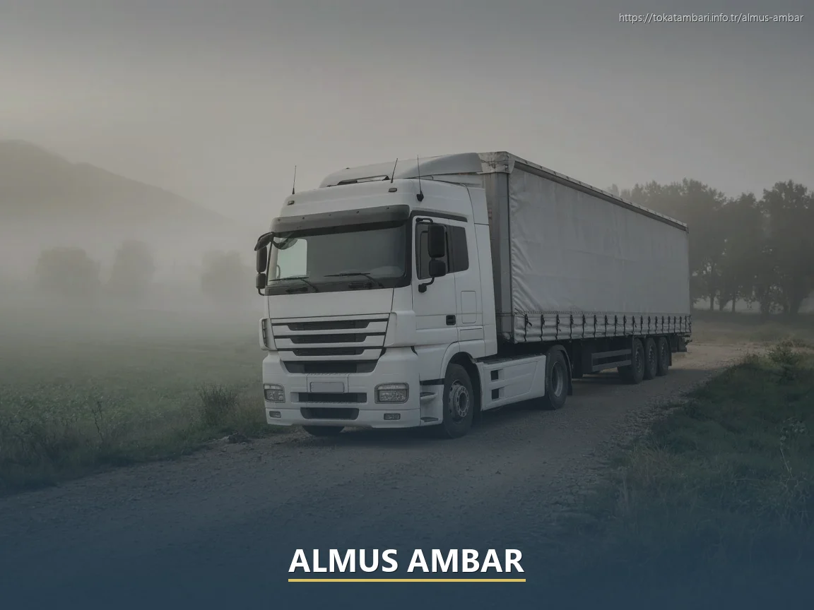 Almus Ambar