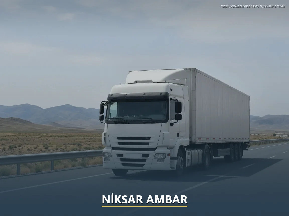 Niksar Ambar
